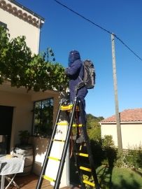 Intervention sur nid de guêpe - entreprise destruction de nids de guepes drome ardeche
