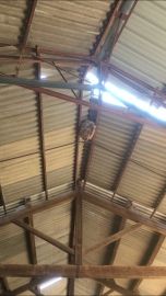 Nid de frelon asiatique dans hangar - entreprise destruction de nids de frelon drome et ardeche