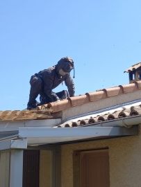 Nid de frelon sous toiture - entreprise de destruction de nids de frelons en drome ardeche