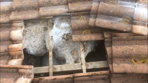 Nid de frelon sous tuiles - élimination nids de frelons drome ardeche