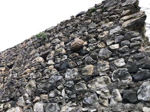 Nid de frelon sur mur en pierre - élimination de nids de frelons drome et ardeche