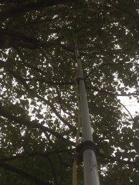 Notre perche de plusieurs dizaines de mètres - entreprise destruction de nids de frelons drome ardeche