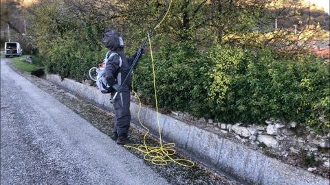 Pulvérisation d'un nid de frelon en haut d'un arbre - entreprise destruction nids de frelons drome