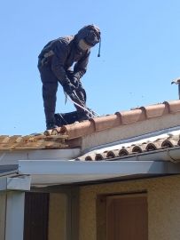 Traitement sous toiture - entreprise destruction de nids de frelons guepes drome ardeche
