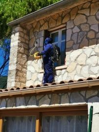 Un nid un peu plus accessible - entreprise destruction de frelons drome ardeche